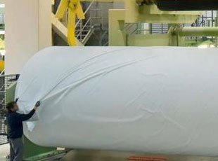 紙漿、造紙和印刷